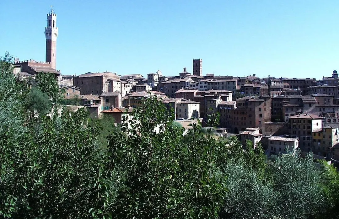 Bed & Breakfast Camollia-1